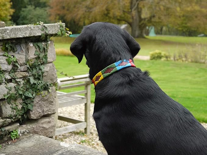 Gaucho Goods Premium Soft Leather Dog Collar (L, Woodstock)