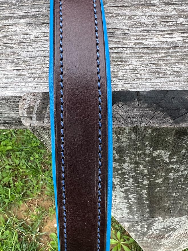 Leaders Leather Dog Collar with Customized Name Plate (Royal Blue/Brown Large (18"-22"))
