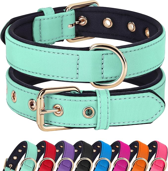 Didog Soft Padded Dog Collar for Large Dogs, Lightweight and Breathable Dog Collar with Metal Buckle, Green, XL