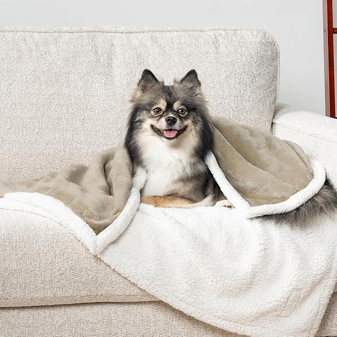 PetAmi Waterproof Dog Blanket for Small Medium Dog Puppy Cat Throw for Couch Cover Leakproof Protection, Sherpa Fleece, Reversible Soft Washable 29x40 Taupe