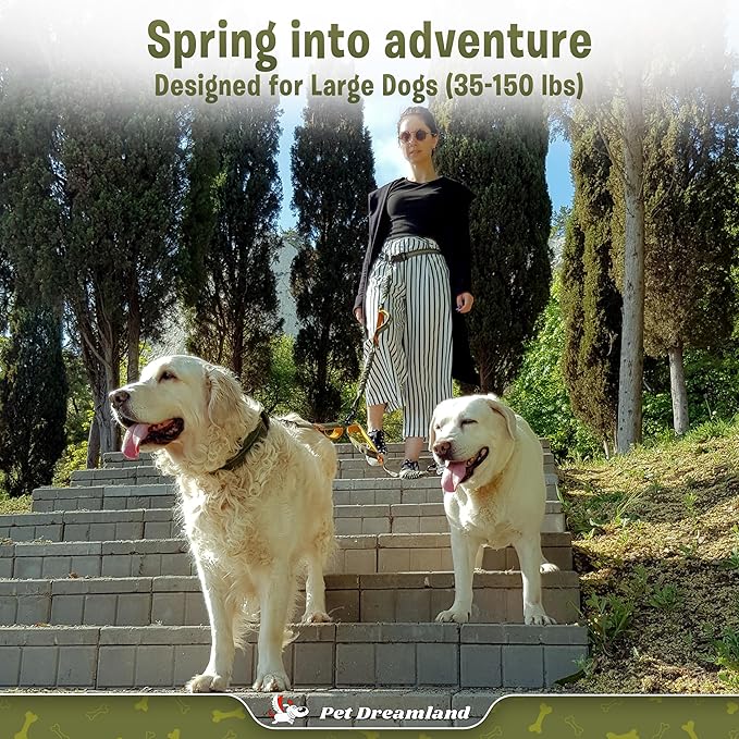 Pet Dreamland Exquisite Hands Free Double Dog Leash for Two Dogs with Tangle-Free Swivel. Premium Quality & Versatile for Running. You Will Absolutely Love This Amazing Waist Leash (Khaki & Orange)