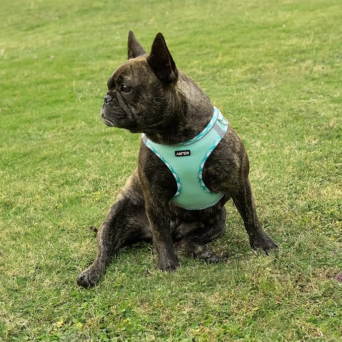 AMTOR Small Dog Harness with Leash Set, No Escape Easy Walk Puppy Harnesses for Training Walking, Step-in Reflective Soft Dogs Vest for XS S Medium Extra-Small Large Sized Dog(Green,M)