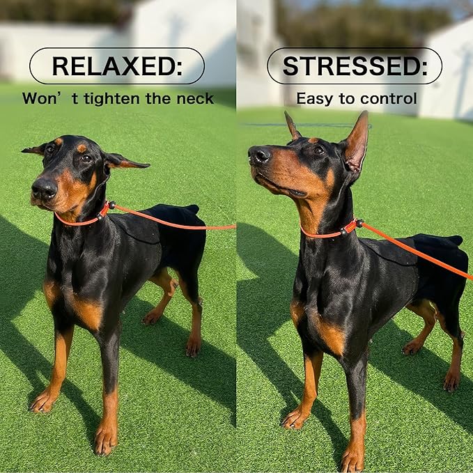Howgo Dog Slip Lead Dog Leash, Training Leash, No-Pull Lightweight Slip Lead and Collar, Heavy Duty & Durable, Padded Handle, for All Breeds (Brown, 3.6FT)