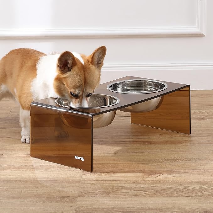 The LICKER Store DBL2001D Keaton 7.5" Medium/Large Modern Acrylic Rectangular Elevated Pet Feeder with 54oz 2-Stainless Steel Bowls, Amber/Chrome