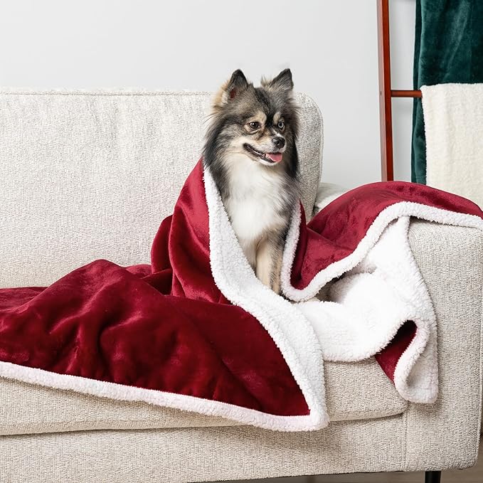 PetAmi Waterproof Dog Blanket for Small Medium Dog Puppy Cat Throw for Couch Cover Leakproof Protection, Sherpa Fleece, Reversible Soft Washable 29x40 Wine Red