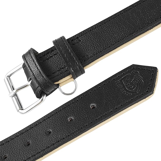 Riparo Black Dog Collar, Puppy Collar, Leather Dog Collar with Dog Tag Holder, Small Dog Collar for Small Dogs (S: 0.75” Wide for 10”-13.5” Neck, Black)