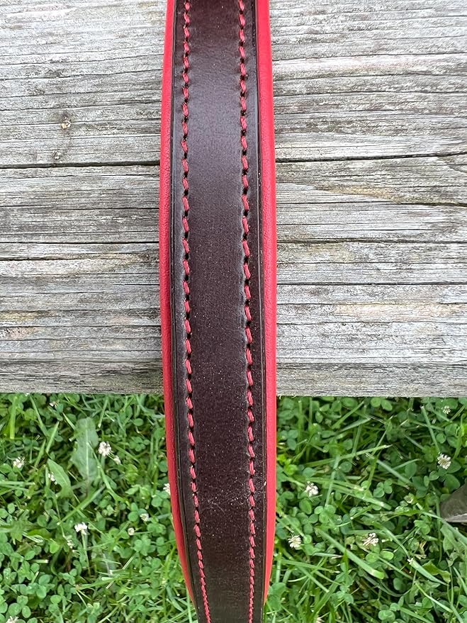 Leaders Leather Dog Collar with Customized Name Plate (Red/Brown Medium (12"-15"))