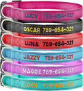 Personalized Reflective Dog Collar, Custom Embroidered with Name & Phone Number Adjustable Nylon ID Collar for Extra Small Small Medium Large Dogs