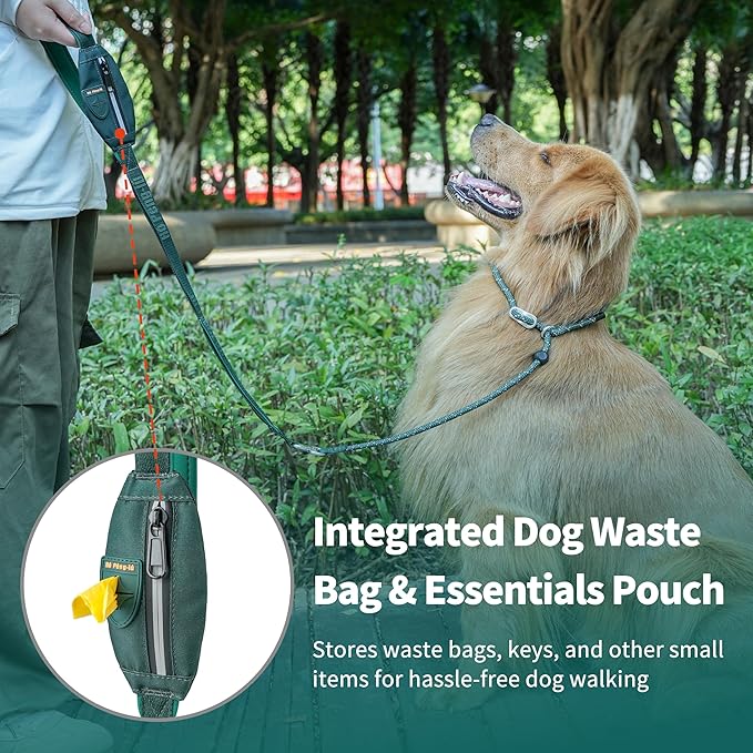 Dog Slip Lead Dog Leash, Heavy Duty No-Pull Training Leash w/Poop Bag Holder, Anti-Tangle, Multi-Handles & Reflective Thread for Small, Medium Dogs 4FT Cyan