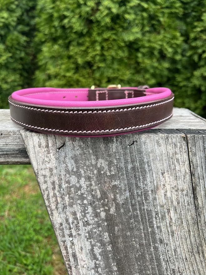 Leaders Leather Dog Collar with Customized Name Plate (Pink/Brown Large (18"-22"))