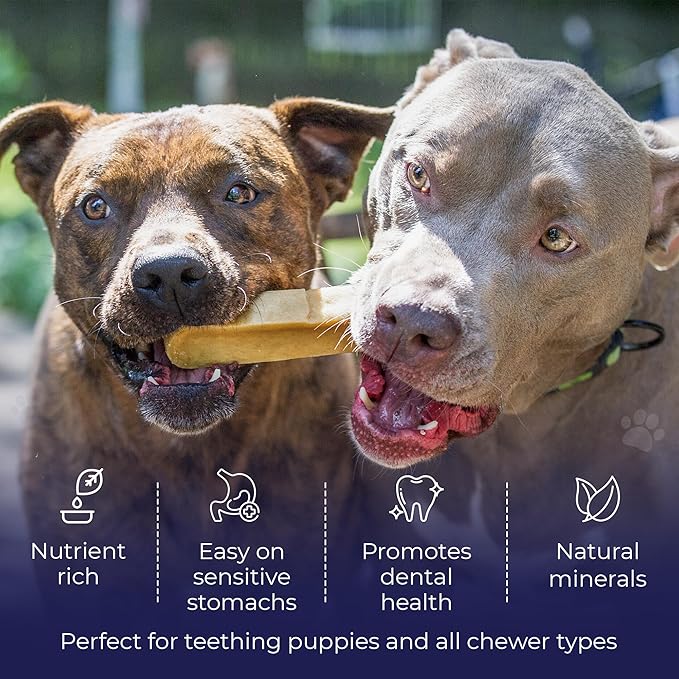 Devil Dog Pet Co. Himalayan Yak Cheese Dog Chews, Large - 8 Pack, 100% Natural & Healthy, Lactose-Free, Long-Lasting Dog Treats, Premium Yak Milk Chew Bones for Dogs