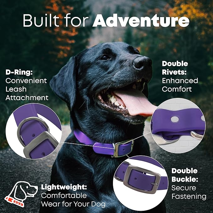 Regal Dog Products Small Purple with Custom Engraved Waterproof Dog Collar and Leash Set | Waterproof Dog Collar with Double Buckle & D Ring - 5'ft Leash | Matching Dog Collar and Leash for Dogs