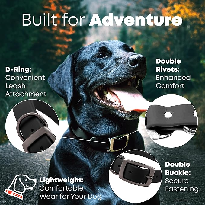 Regal Dog Products Medium Black with Custom Engraved Waterproof Dog Collar and Leash Set | Waterproof Dog Collar with Double Buckle & D Ring - 5'ft Leash | Matching Dog Collar and Leash for Dogs