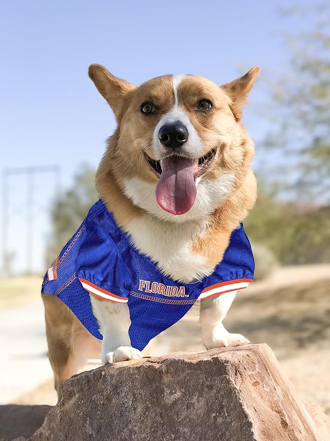 NCAA College Florida Gators Mesh Jersey for Dogs & Cats, Small. Licensed Big Dog Jersey with Your Favorite Football/Basketball College Team (Pack of 2)