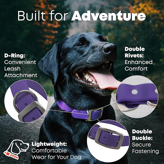 Regal Dog Products Medium Purple Waterproof Dog Collars with Custom Engraved Name Plate | Vinyl Coated, Anti, Easy to Clean Personalized Dog Collar - Other Sizes for Small & Large Dogs