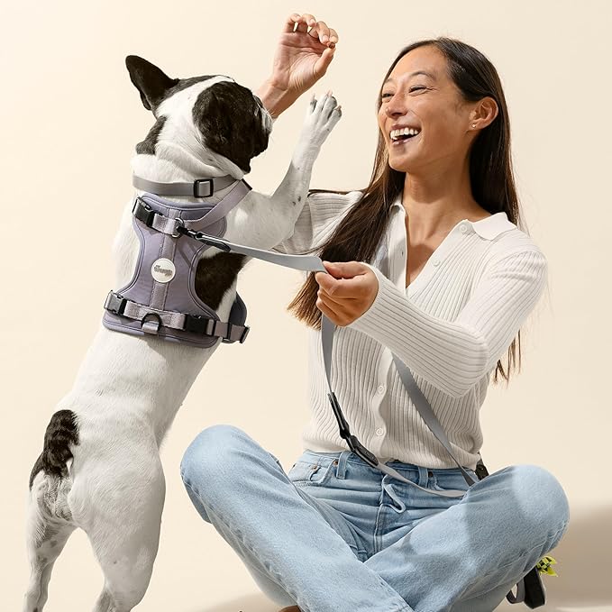 WLK1004N-5SET Luna Small 8FT Adjustable 6-in-1 Waterproof Hands-Free Leash and Collar with LED Flashlight, Bag Dispenser, and Poop Bag Holder, Martini