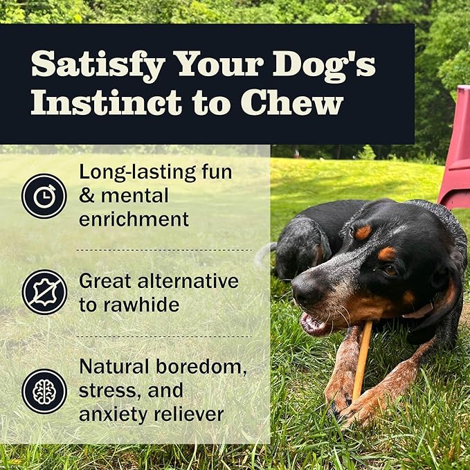 Redbarn Premium Bully Sticks for Dogs - 7 Inch, 6 Count - Long Lasting, Rawhide-Free, Slow Roasted, Low Odor & Highly Digestible, Single Ingredient Chews & All-Natural Dental Treats for Chewers
