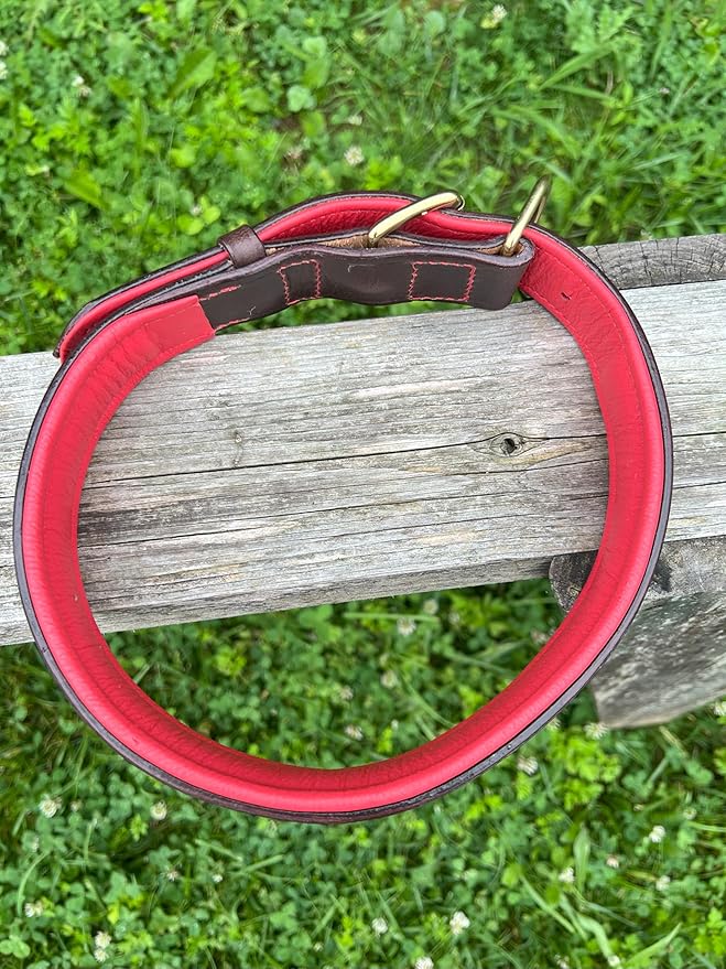 Leaders Leather Dog Collar with Customized Name Plate (Red/Brown Extra Large (21"-26"))