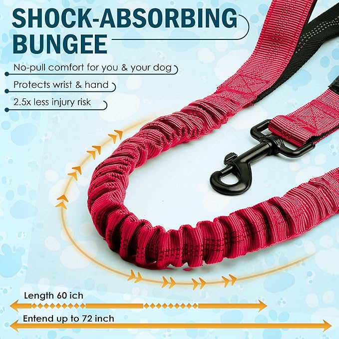 Hands Free Dog Leash for 2 Dogs – Waist Leash for Dog Walking with Dual Bungee, Reflective No Pull Design, Adjustable Belt & Pouch for Running, Hiking, Jogging