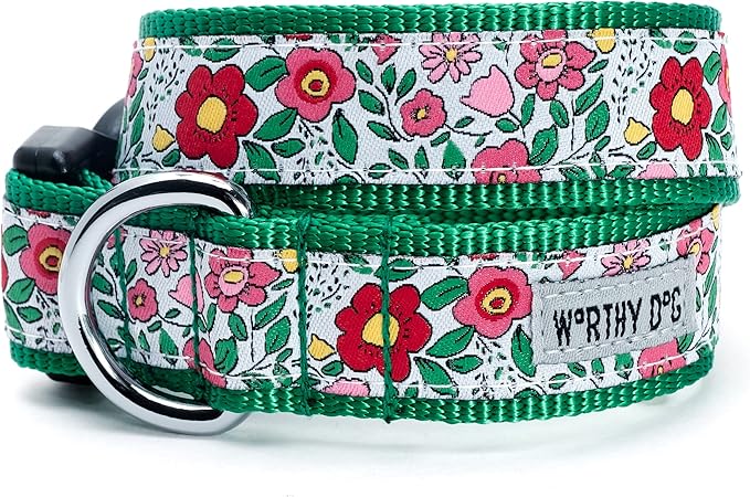 THE WORTHY DOG 5 FT Nylon Dog Leash for Medium to Large Dogs, Metal Quick Clip, Spring Garden Floral Pattern, Coral, Large