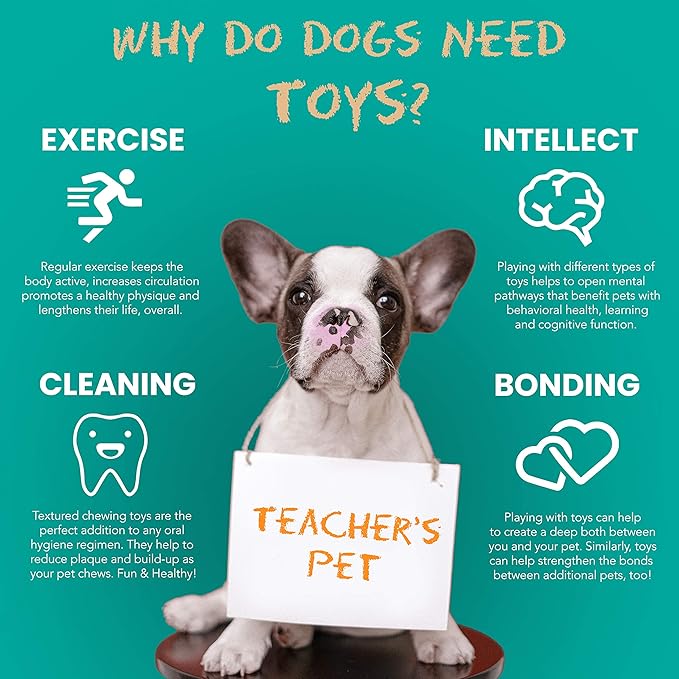 Fuzzy Puppy Dog Toys for Aggressive Chewers: All-Natural Rubber, Durable Dog Chew Toy, Fillable Interactive Dog Toys, Great Teething Toys for Puppies | Dumbbell, Medium (FP-Toy12)