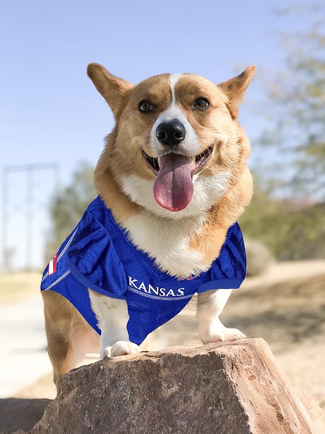 Pets First NCAA College Kansas Jayhawks Mesh Jersey for DOGS & CATS, Small.Licensed Dog Jersey with your Favorite Football/Basketball College Team