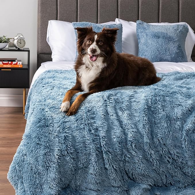 PetAmi Waterproof Dog Blanket for Medium Large Dogs, Calming Fleece Cat Blanket, Couch Protector Washable Sherpa Faux Fur Pet Throw for Puppy, Soft Reversible Leakproof 40x60 Light Blue