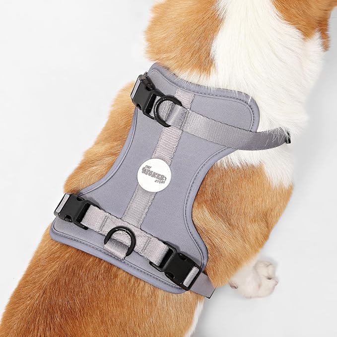 HNS1002N Arlo Medium Adjustable Soft Padded No Pull Pet Harness with 3 Buckles and 3 Leash Clips, Martini
