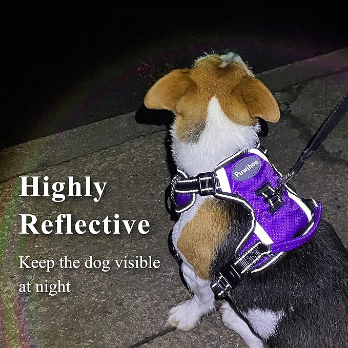 No Pull Dog Harness, Reflective Walking Dog Harness with Easy Control Handle and Front & Back Clips,Adjustable Breathable Soft Padded Dog Vest Harness for Large Medium Small Dogs,Purple,S