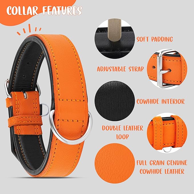 Riparo Extra Wide Leather Dog Collar - Heavy Duty Wide Dog Collar for Small, Medium, Large and Extra Large Dogs with Dog Tag Holder (XXL: 2” Wide for 24”-29” Neck, Orange)