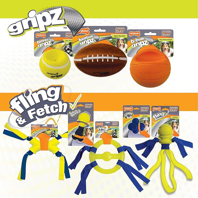 Nylabone Power Play Shake-a-Toss Interactive Play Toy, Fetch Toy for Dogs, Small (1 Count)