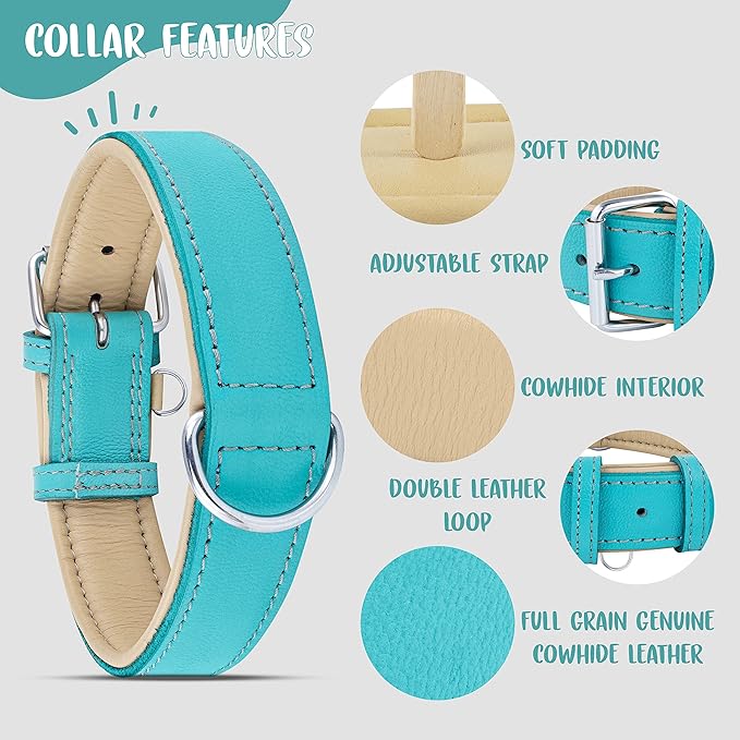 Riparo Adjustable Leather Dog Collar - Heavy Duty Wide Dog Collar for Small, Medium, Large and Extra Large Dogs with Dog Tag Holder (XXL: 2” Wide for 26”-29” Neck, Aqua)