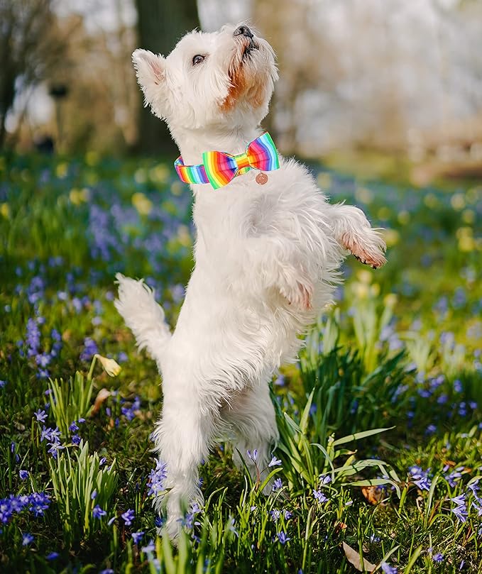 DOGWONG Rainbow Dog Collar with Pretty Bow Tie for LGBT Pride Month - Adjustable and Comfortable Collar for Large Medium Small Dog,L