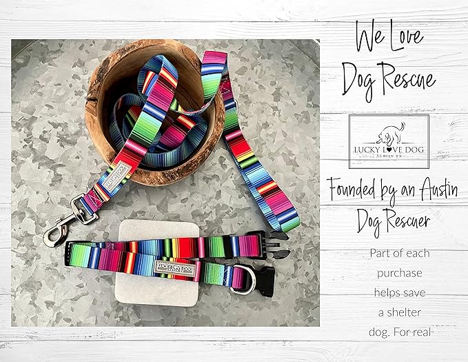 Lucky Love Dog Leash, Colorful Striped Dog Leash for Small Dogs, Durable & Long Lasting, (Nacho, Small)