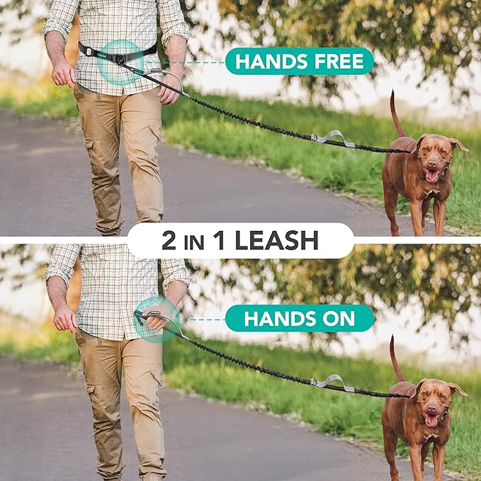 PetAmi Heavy Duty Hands Free Dog Leash, Adjustable Waist Belt for Large Dog Walking Up to 125 lbs, Bungee Leash for Pet Running, Hiking, Reflective Safety for Jogging, Biking, Grey Handle