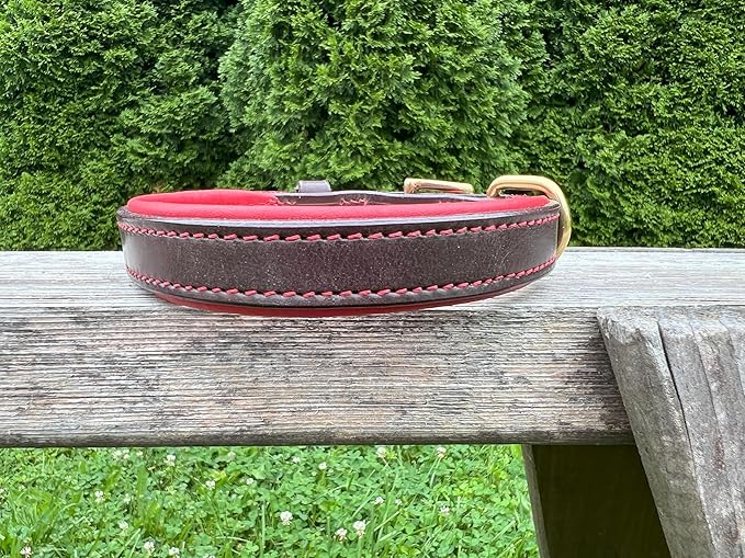 Leaders Leather Dog Collar with Customized Name Plate (Red/Brown Medium (12"-15"))