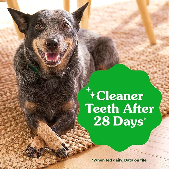 Greenies Dog Treats, Veterinarian-Recommended Natural Dental Dog Treats, Large Size, Blueberry Flavor, 12 oz. Pack, 8 Count