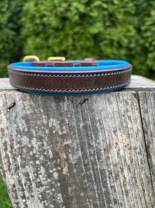 Leaders Leather Dog Collar with Customized Name Plate (Royal Blue/Brown Medium (12"-15"))