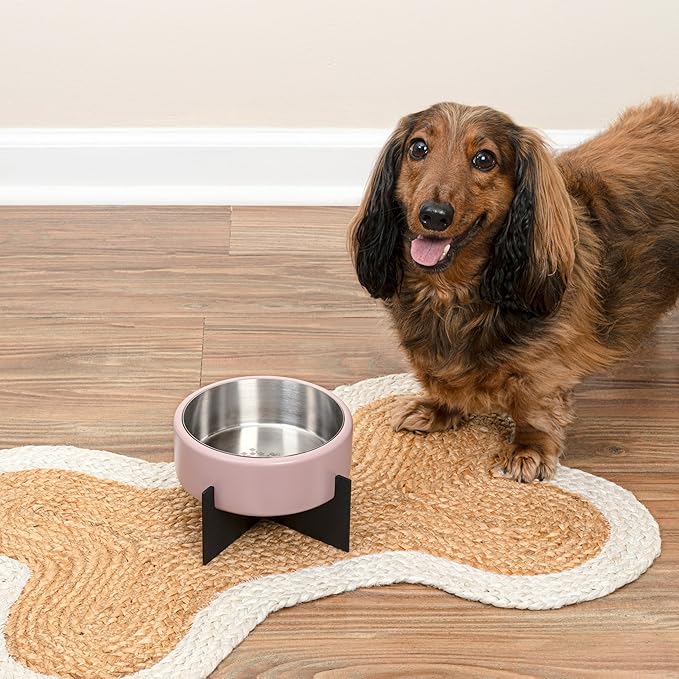 DBL3000D Intersecta Small/Medium Concrete and Stainless Steel Bowl 16oz (2 Cups) with Metal Stand Pet Feeder, Pink/Black