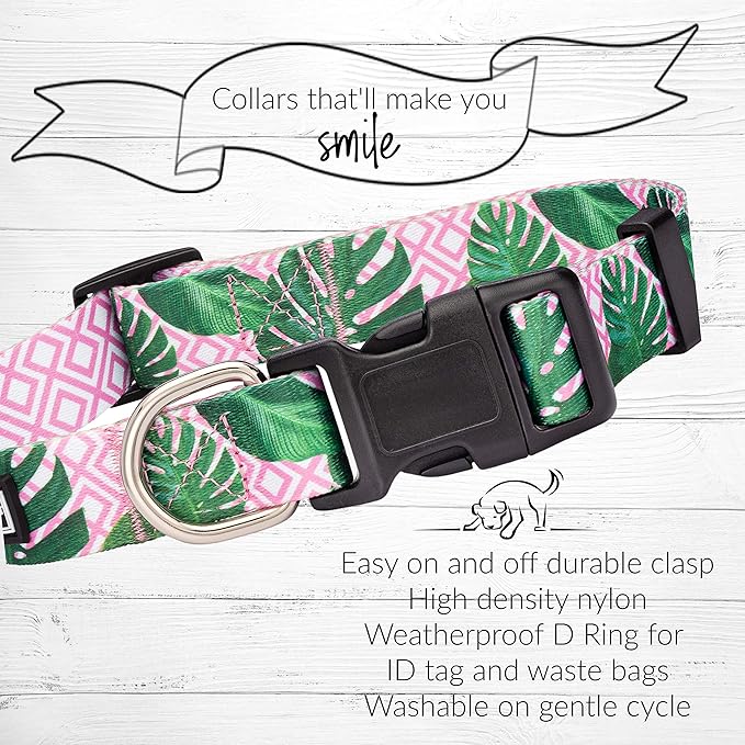Lucky Love Dog, Tropical Matching Dog Collar & Leash Set, Soft & Comfy, Vivid Pink Color Collar and Leash for Female Male Dogs - (Small, Laguna Combo)