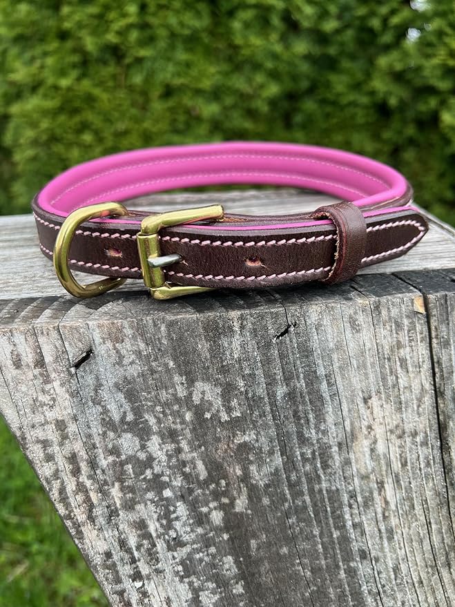 Leaders Leather Dog Collar with Customized Name Plate (Pink/Brown Medium/Large (15"-19"))