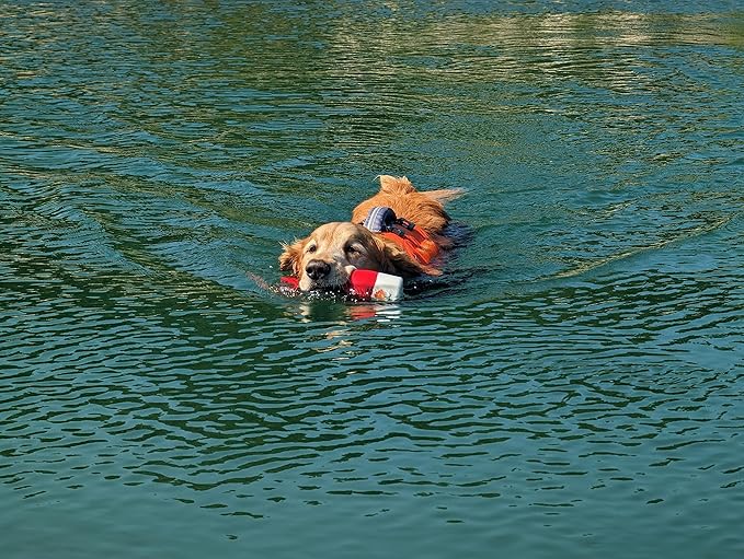 Bark Brite The Chewy Buoy Water Dog Toy