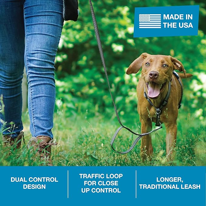 Blue-9 Reflective Dog Leash, Multi-Function 6 Foot Adjustable Lead with Traffic Loop and 3M Reflective Stitching for Obedience, Running, and Agility Training, Made in The USA, Small/Medium, Grey