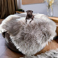 Waterproof Dog Blanket for Small, Medium & Large Dogs – Faux Fur Pet Throw for Couch, Sofa, Bed & Car – Soft, Washable, Stain-Resistant, Durable Cover – Grey – 60" x 50"