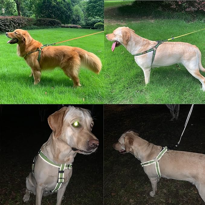No Pull Dog Harness with Reflective Adjustable,Stops Pets from Pulling and Choking On Walks for Large Dogs (Blue, XXL)
