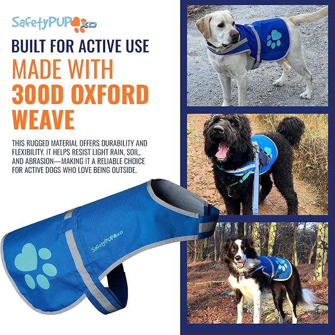 SafetyPUP XD Dog Reflective Vest – Hi-Vis Fluorescent Visibility That Helps to Safeguard Your Pet On/Off Leash in Urban & Rural Areas (Blue, X-Small)