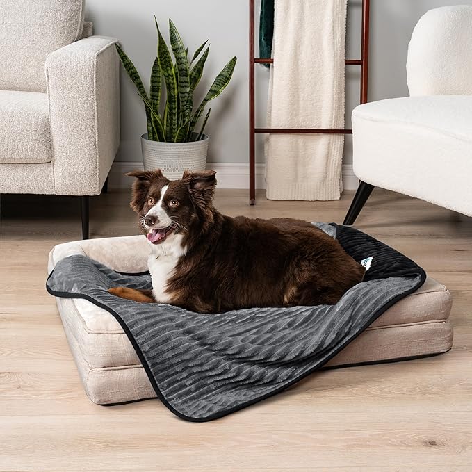 PetAmi Waterproof Dog Blanket, Leakproof Pet Blanket for Small Medium Large Dogs, Reversible Furniture Bed Sofa Couch Cover Protector, Plush Striped Pet Throw for Indoor Cat, 29x40 in, Black Grey