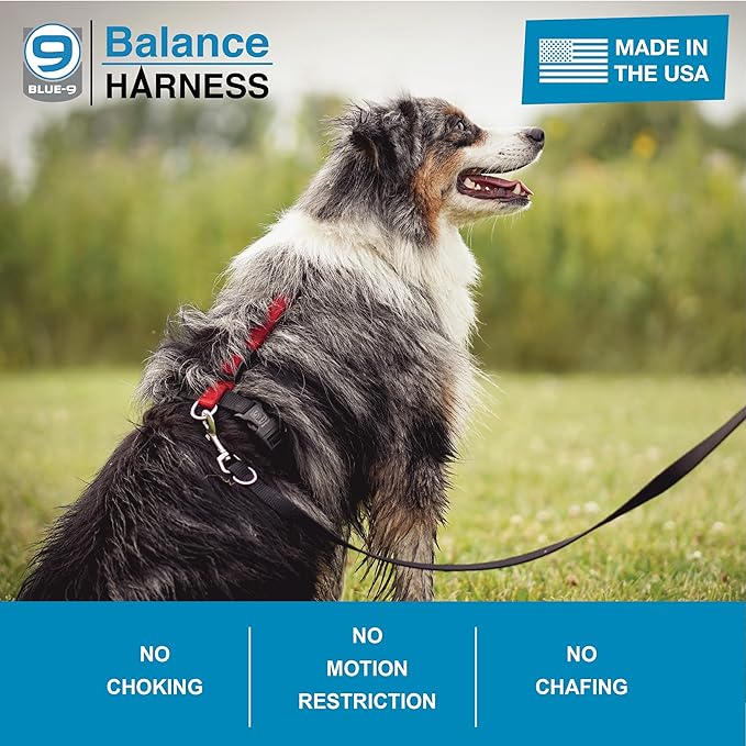 Blue-9 Buckle-Neck Balance Harness, Fully Customizable Fit No-Pull Harness, Ideal for Dog Training and Obedience, Made in The USA, Black, Medium