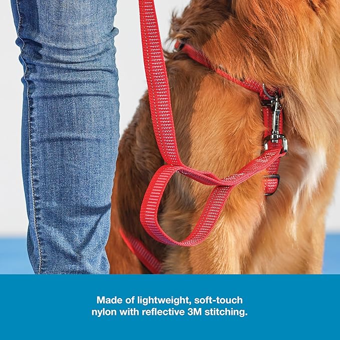 Blue-9 Reflective Dog Leash, Multi-Function 6 Foot Adjustable Lead with Traffic Loop and 3M Reflective Stitching for Obedience, Running, and Agility Training, Made in The USA, Medium/Large, Red