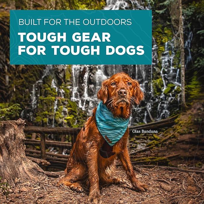 Wilderdog Dog Bandana with Lightweight Quick Drying Poly-Blend Mesh Material in Daisy